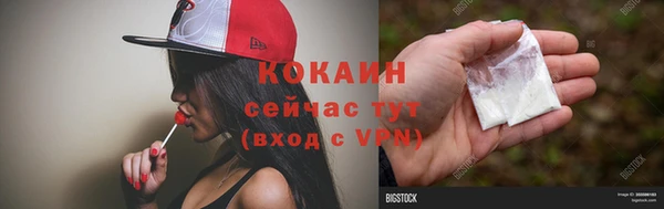 гидра Ладушкин