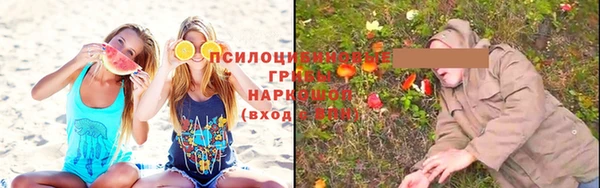 гидра Ладушкин