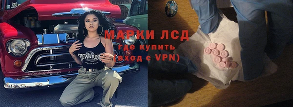 шишки Тутаев