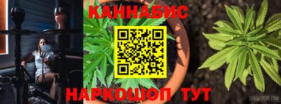 не бодяженный Камышлов