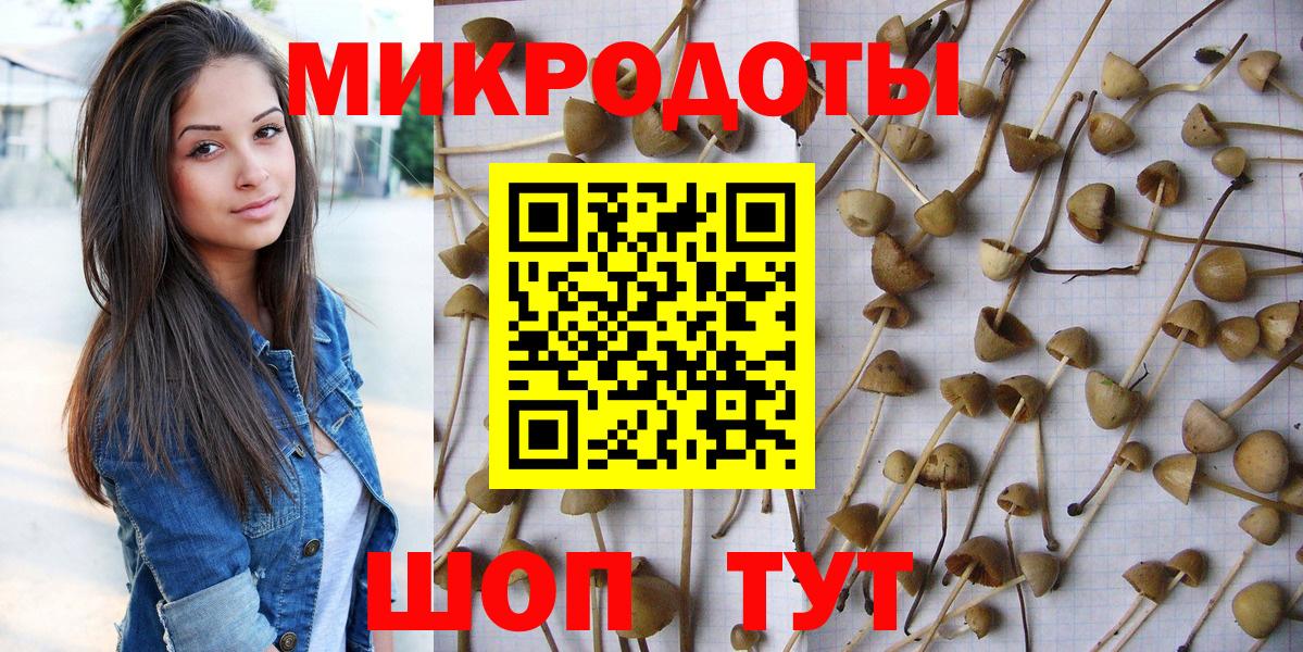Псилоцибиновые грибы Magic Shrooms  Ялта 