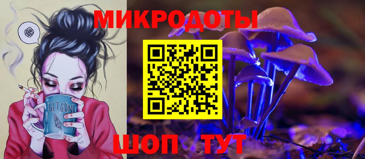 Галлюциногенные грибы Psilocybine cubensis Ялта