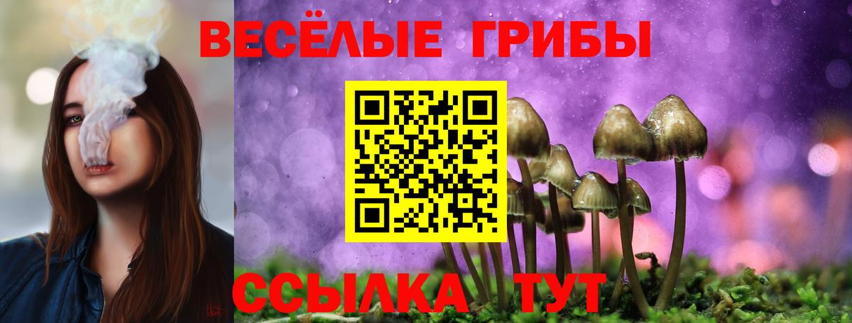 Псилоцибиновые грибы Psilocybine cubensis  Галлюциногенные грибы Psilocybe  Вход с VPN  Ялта 