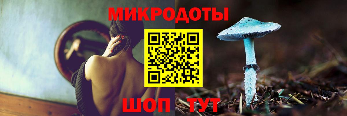 Псилоцибиновые грибы Psilocybe Ялта